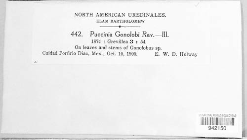 Puccinia gonolobi image